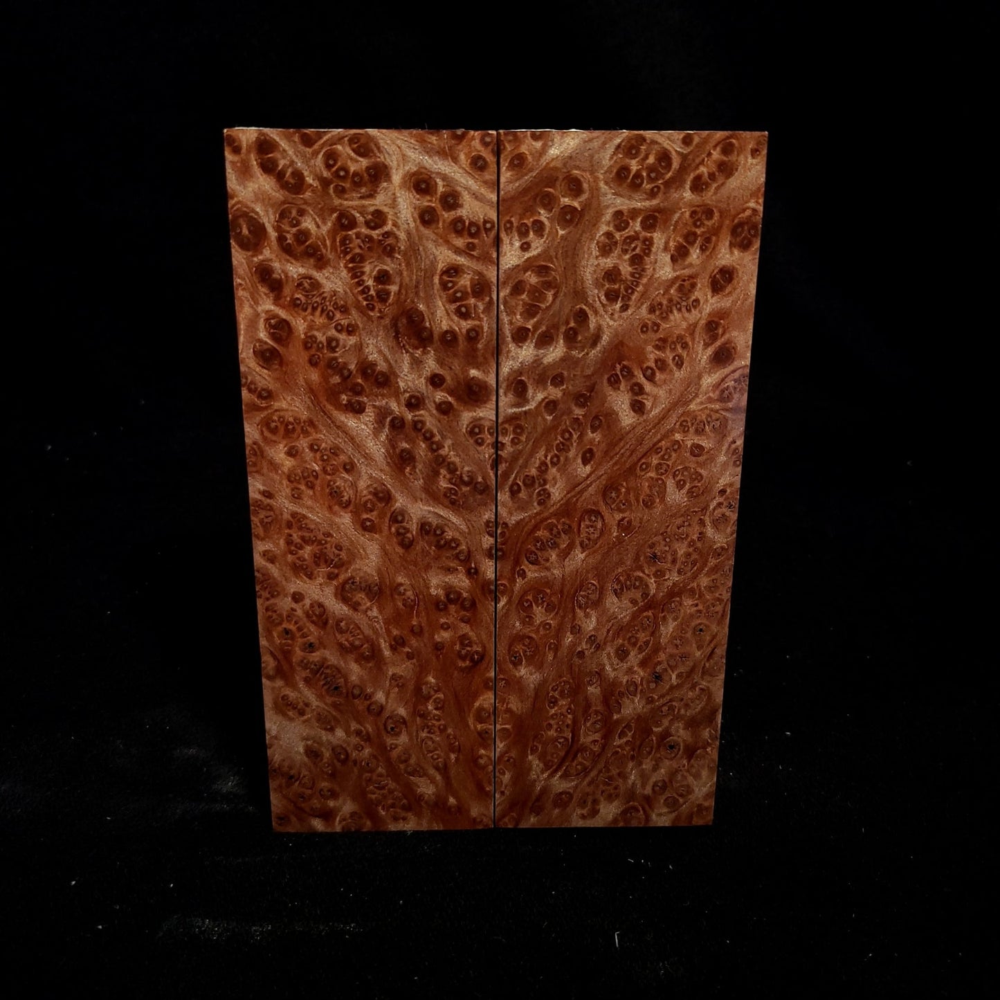 #811 - Redwood Lace Burl - K&G Stabilized - RockSolid Scales -