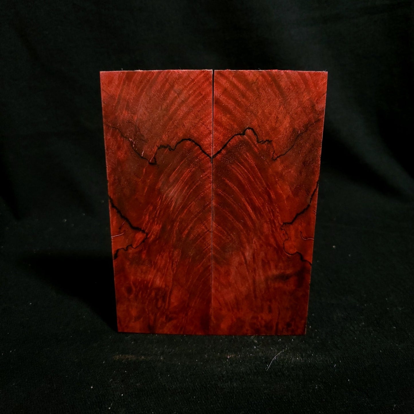 #841 - redruM Curly Spalted Maple - RockSolid Scales -