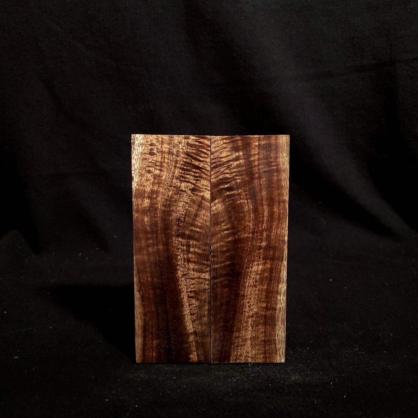#869 - Curly Koa - K&G Stabilized - RockSolid Scales -