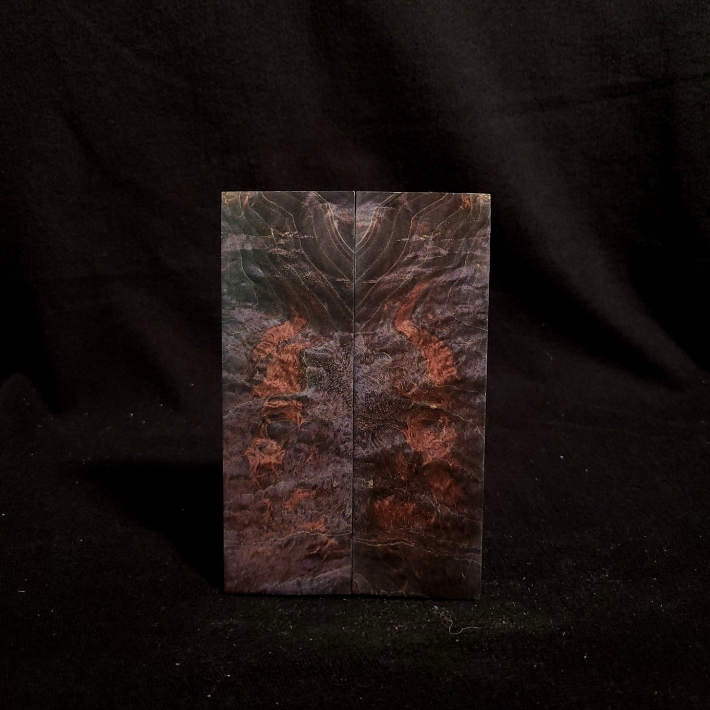 #875 - Red/Blue Double Dye Box Elder Burl - K&G Stabilized - RockSolid Scales -