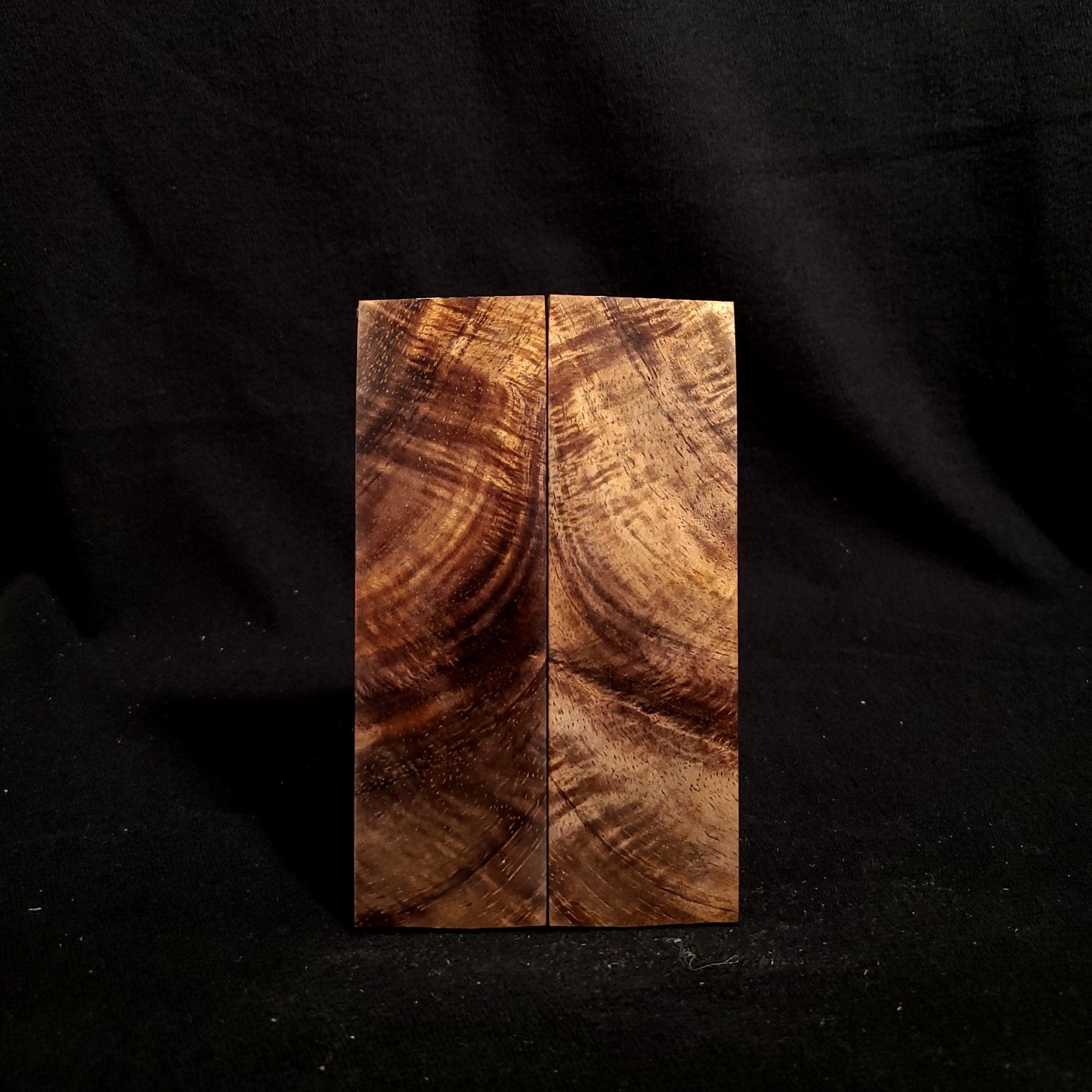 #880 - Curly Feather Koa - K&G Stabilized - Bargain Bin - RockSolid Scales -