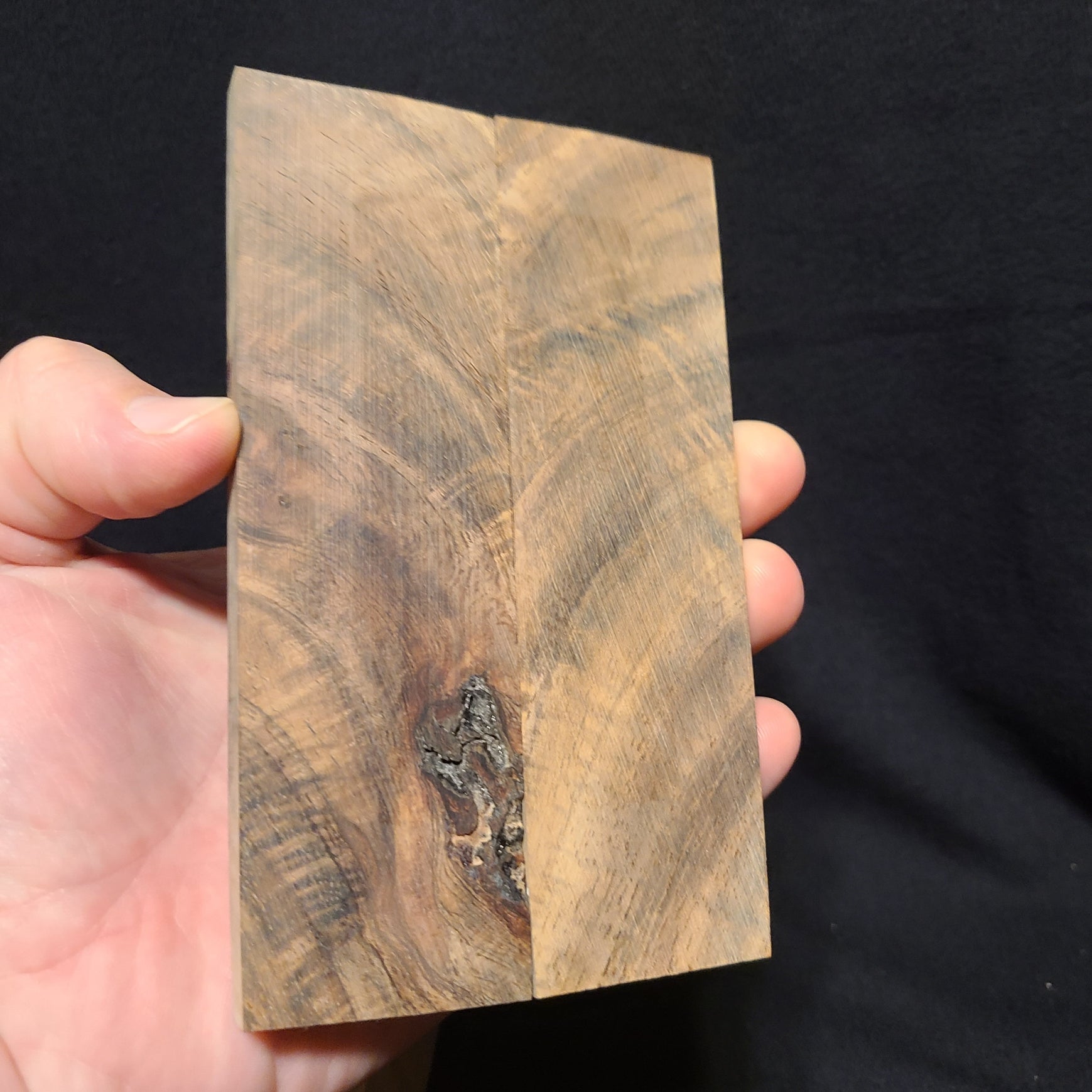#880 - Curly Feather Koa - K&G Stabilized - Bargain Bin - RockSolid Scales -