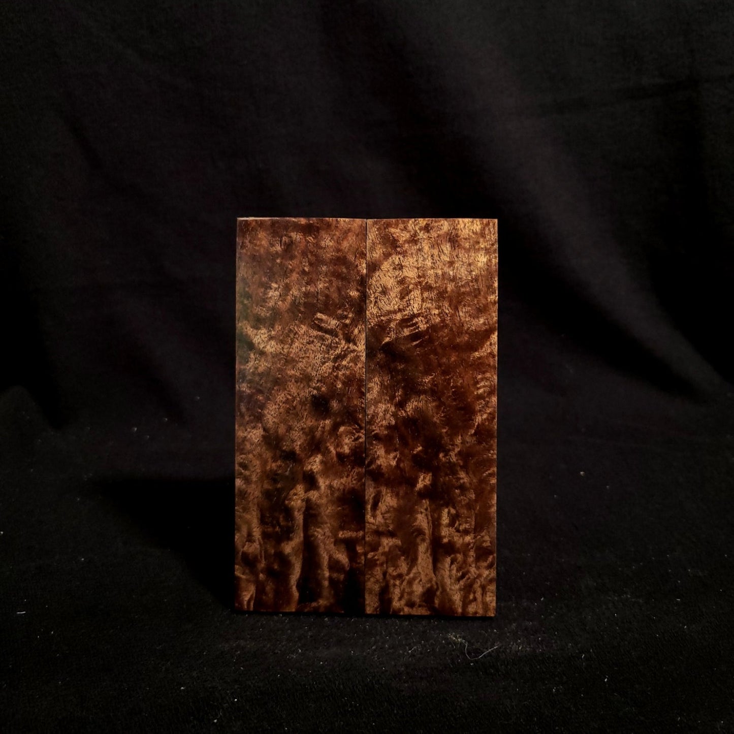 #886 - Tasmanian Blackwood Burl - K&G stabilized - RockSolid Scales -