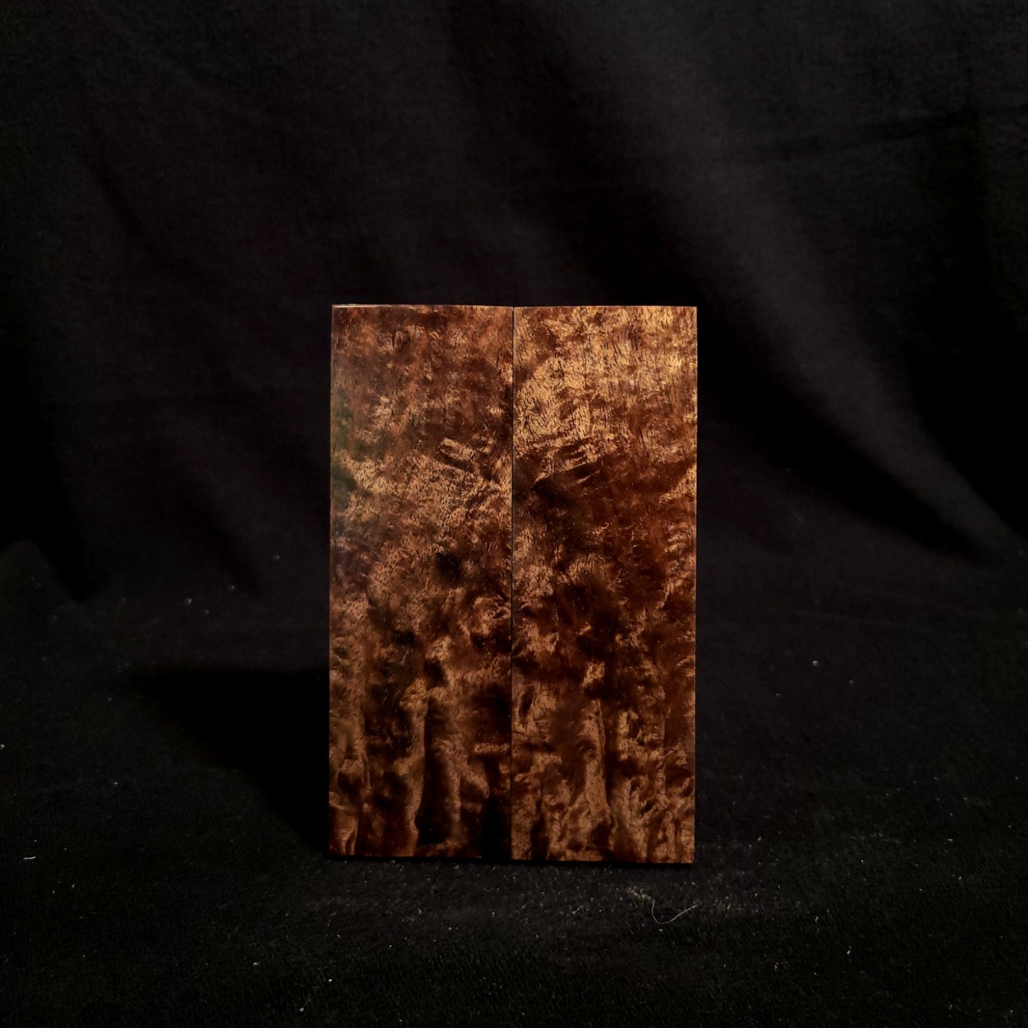 #886 - Tasmanian Blackwood Burl - K&G stabilized - RockSolid Scales -
