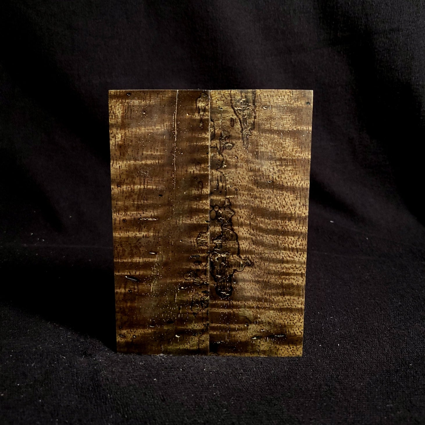 #901 - OD Green Curly Spalted Mango - *Bargain Bin* - RockSolid Scales -