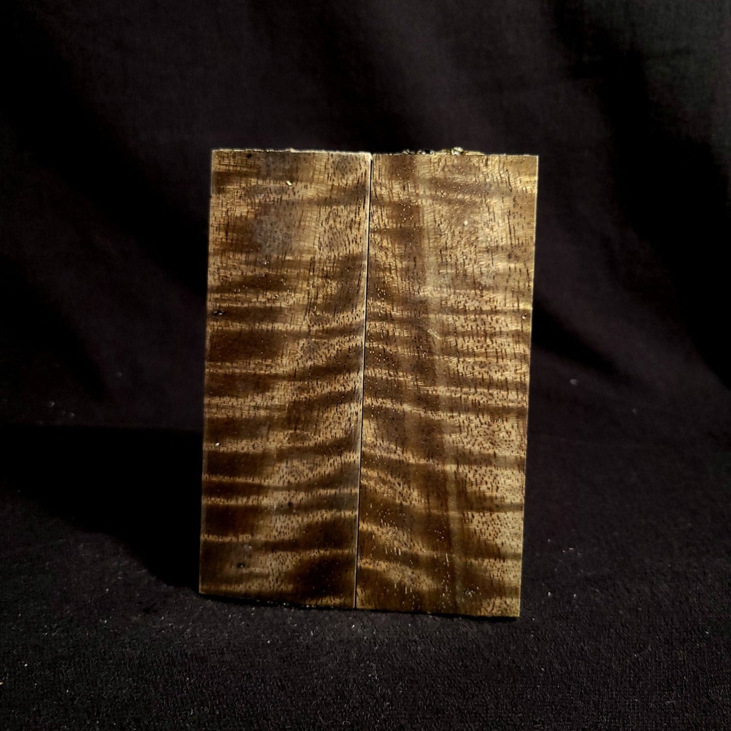 #908 - OD Green Curly Mango - RockSolid Scales -