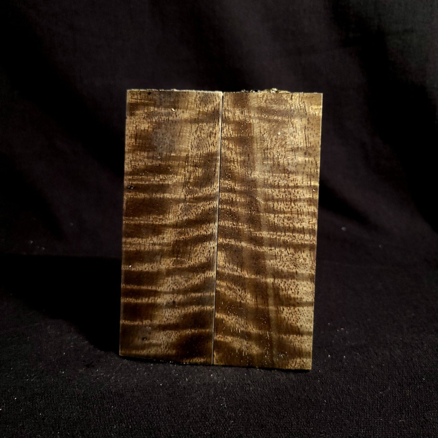 #908 - OD Green Curly Mango - RockSolid Scales -