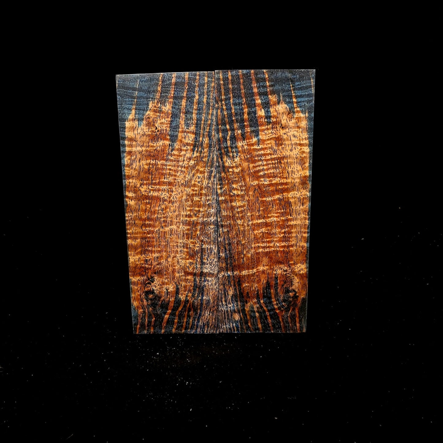 #938 Tru-Blu Silver Wattle - RockSolid Scales -