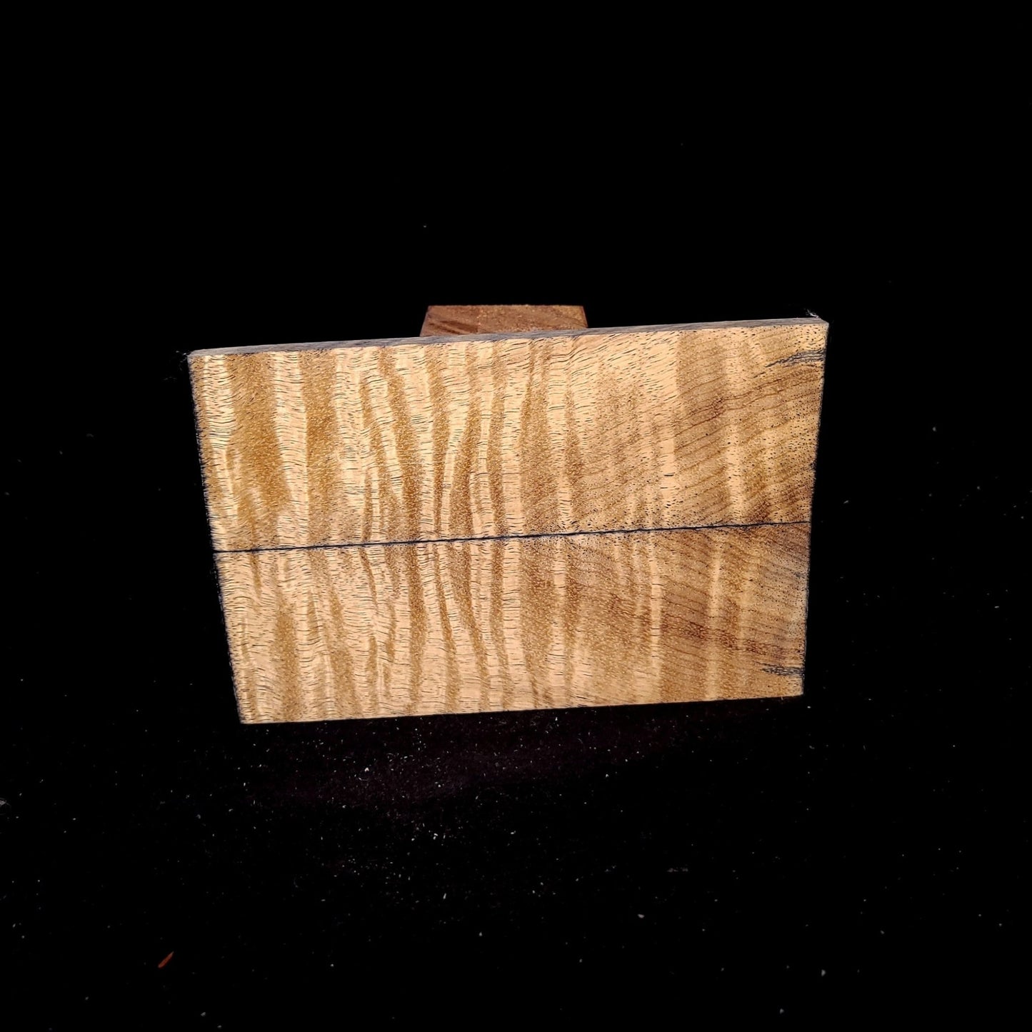 #939 Curly Myrtle with a hint of Sinister - K&G Stabilized - RockSolid Scales -