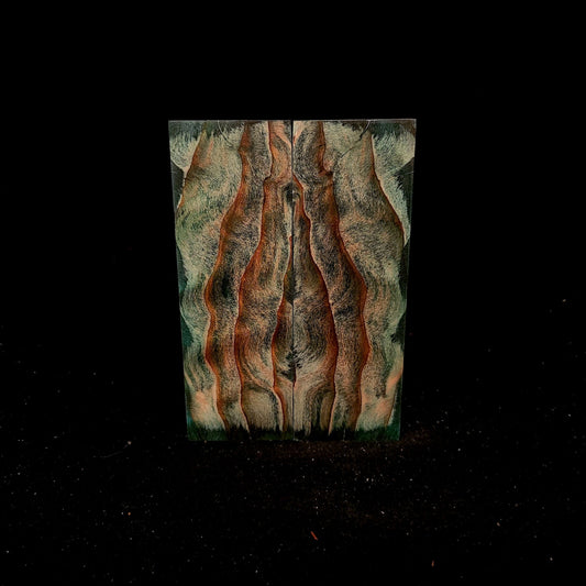 #966 Peacock Green Curly OG Redwood - RockSolid Scales -