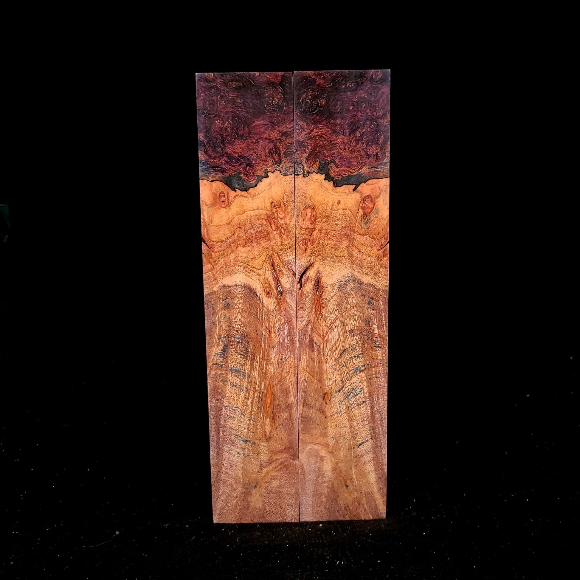 #968 Curly Spalted Maple - Multi-Dye and Natural - RockSolid Scales -