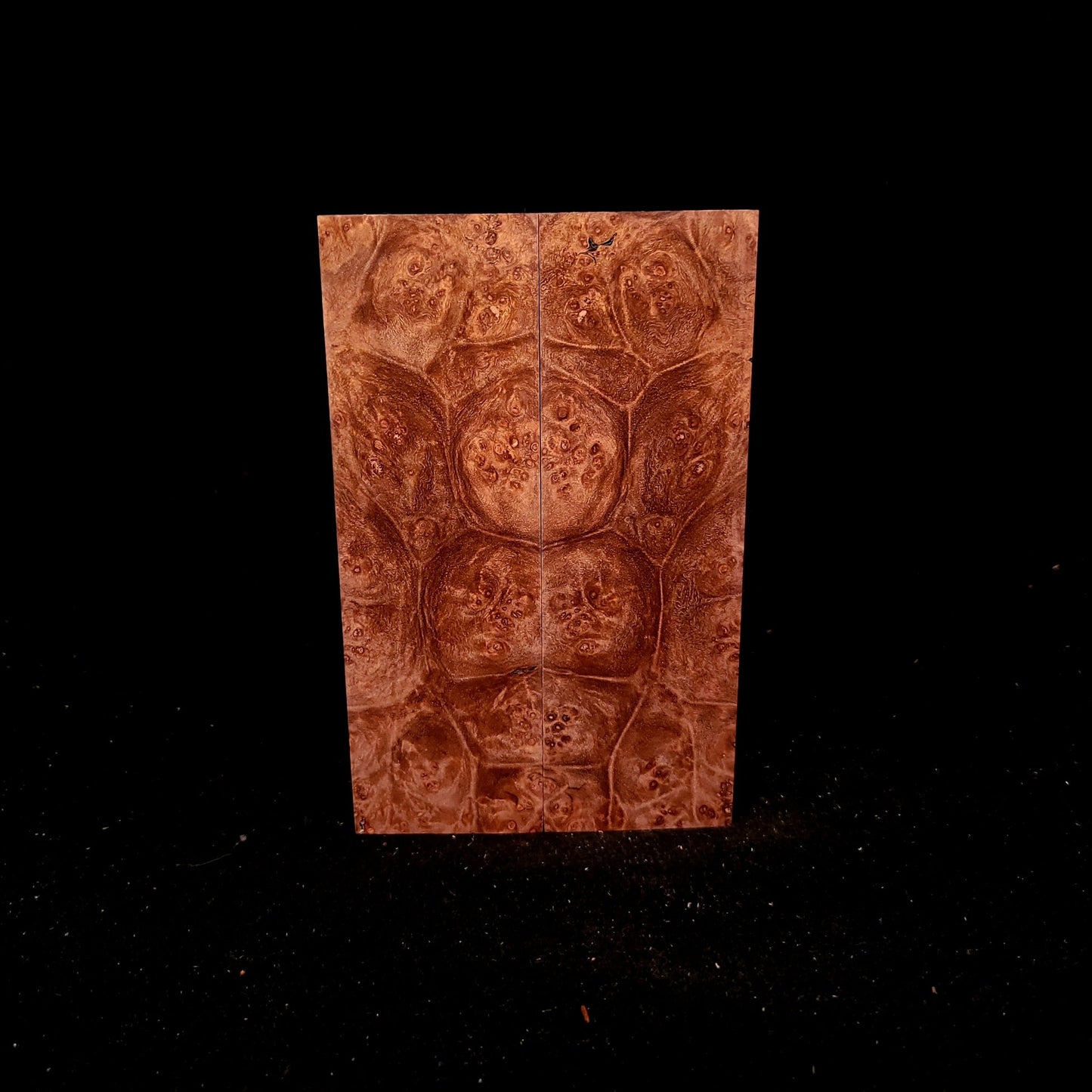 #970 Maple Burl - RockSolid Scales -