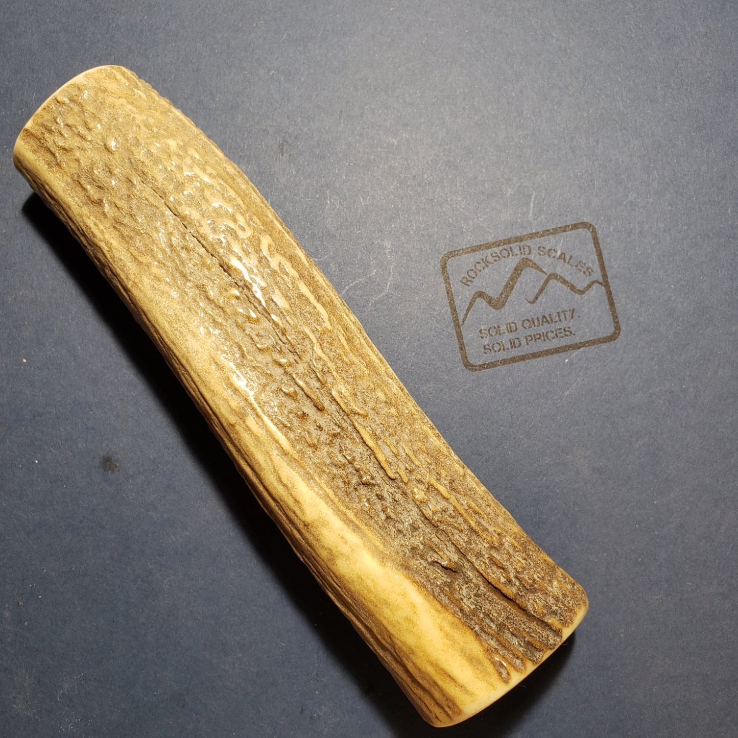EA6 - Stabilized Elk Antler - RockSolid Scales -