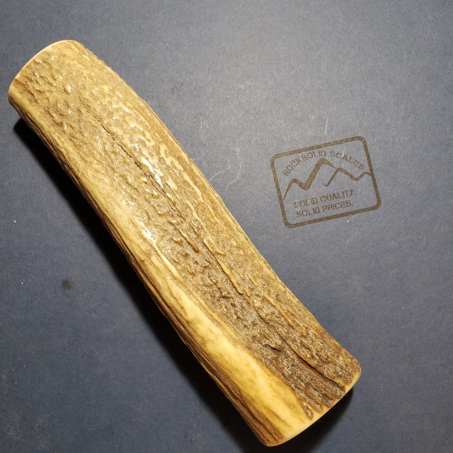 EA6 - Stabilized Elk Antler - RockSolid Scales -