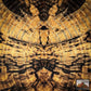 Private Reserve Spalted Hackberry - RockSolid Scales -